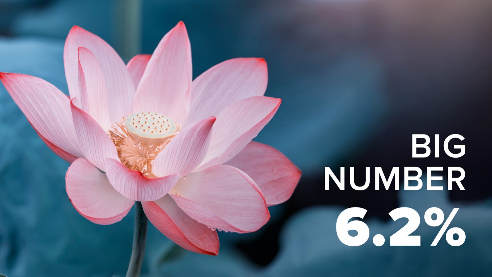 BigNumber_Image 6.02.25